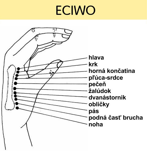 Akupunktúrne body Body na uchu
