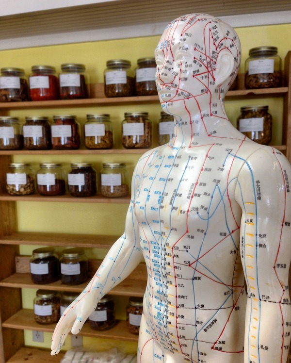 Tradičná čínska medicína Čínska medicína